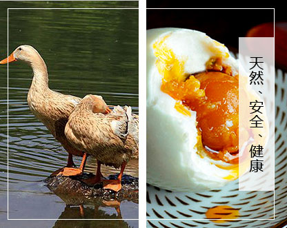 山東國(guó)丹食品開(kāi)發(fā)有限公司